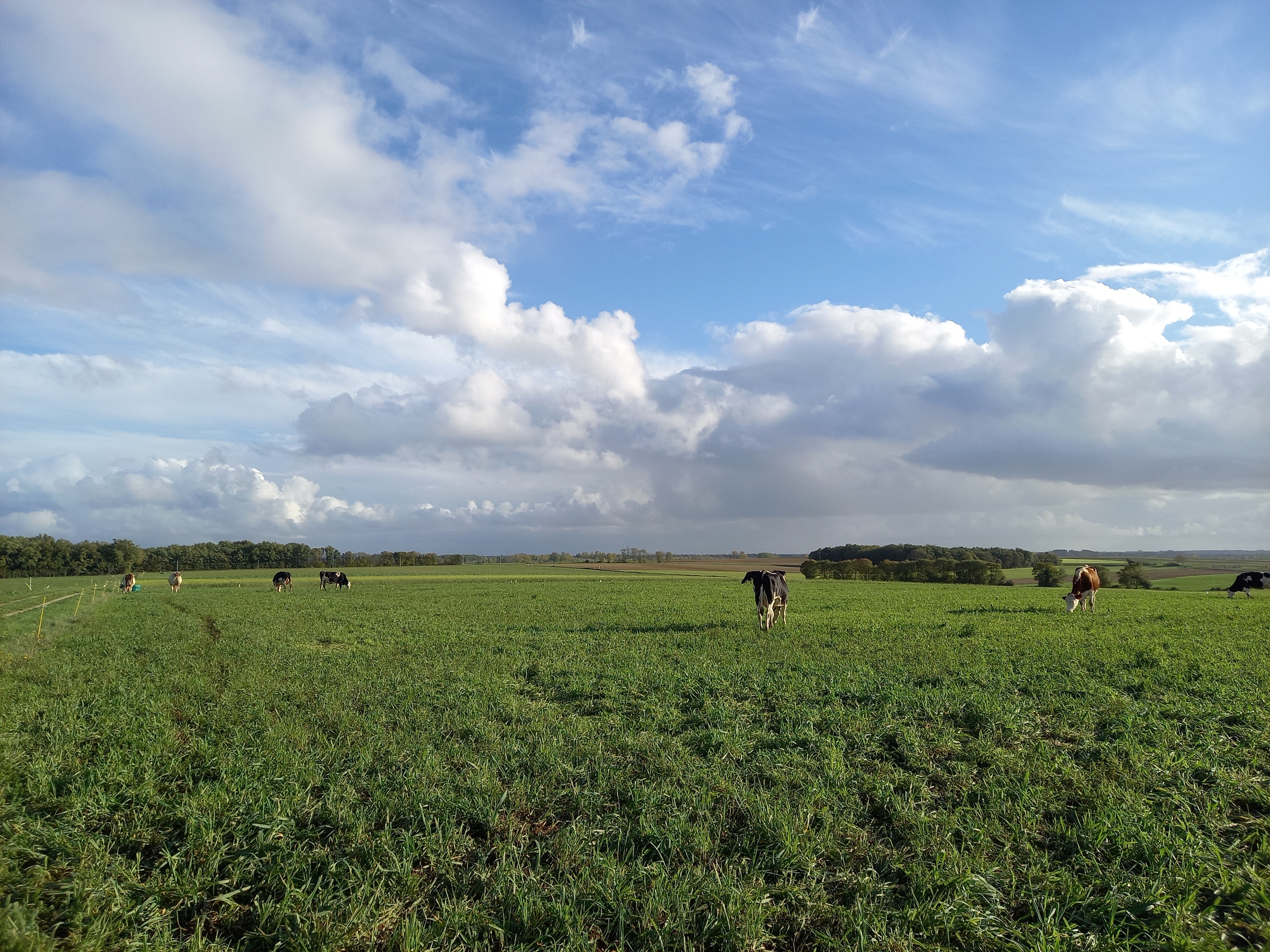 Fiche REX : Politique foncière d’un syndicat pour augmenter les surfaces en agriculture biologique et prairies (17)