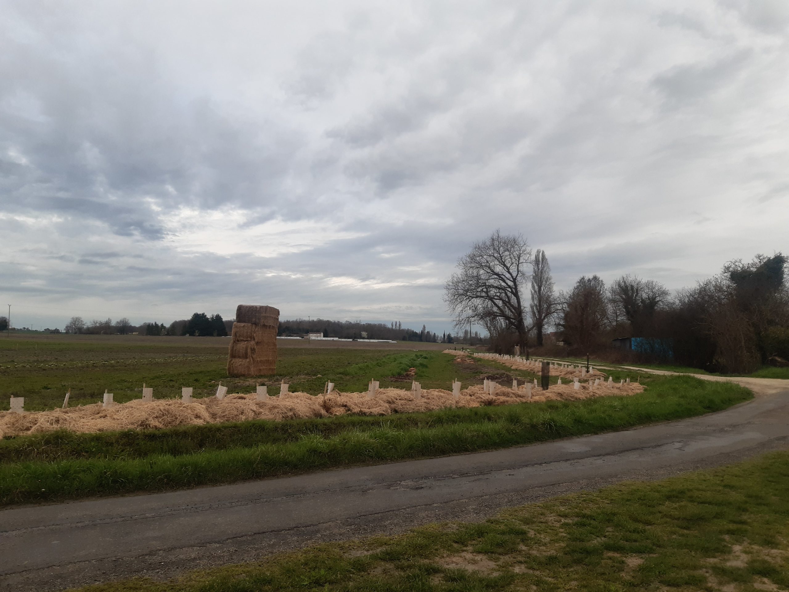 Fiche REX : Politique foncière d’une commune et accompagnement aux changement de pratiques agricoles